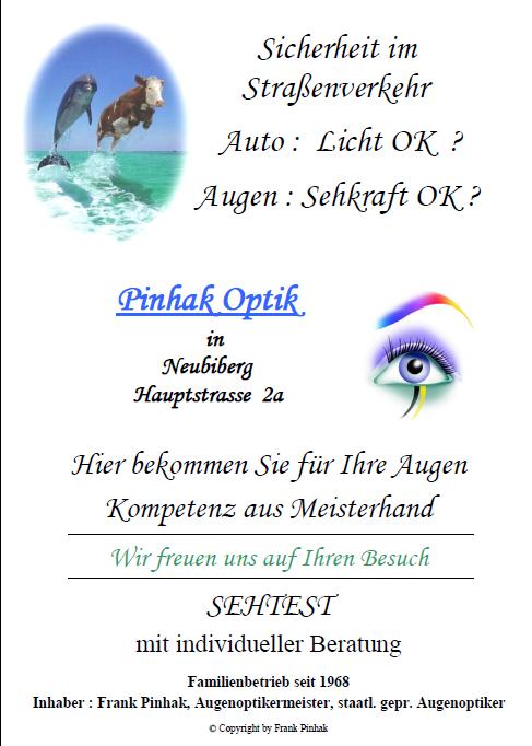 Pinhak Optik Flyer